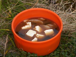 gluten free backpacking meals