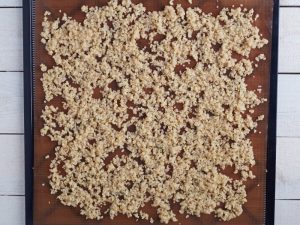 dehydrating quinoa step4