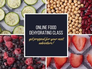 online food dehydrating class